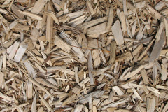 biomass boilers Red Rice